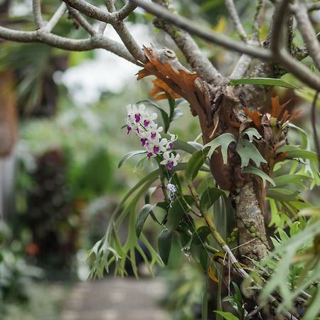 Green Taman Ubud By Prasi Eksteriør bilde