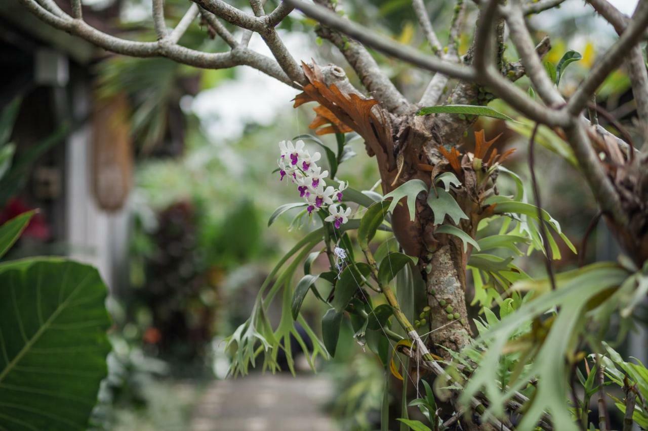 Green Taman Ubud By Prasi Eksteriør bilde